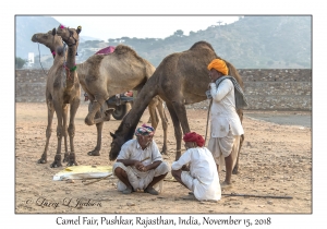 Rajasthani Men