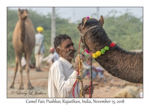 Rajasthani Man