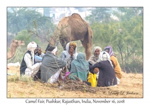 Rajasthani Men