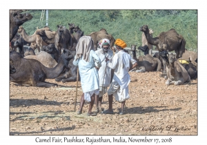 Rajasthani Men