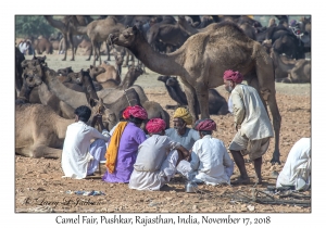 Rajasthani Men