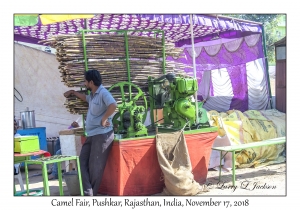 Sugar Cane Press