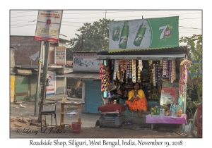 Roadside Shop