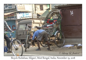 Bicycle Rickshaw