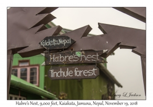 Habre's Nest