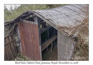 Bird Hide