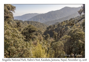 Singalila National Park