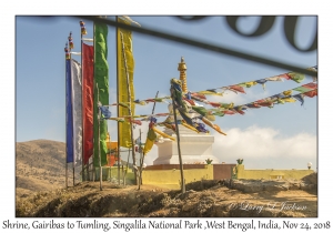 Shrine, Gairibas to Tumling