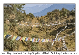 Prayer Flags, Gairibas to Tumling