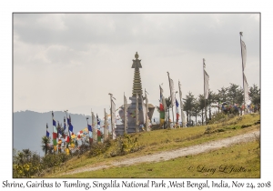 Shrine, Gairibas to Tumling