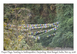 Prayer Flags, Tumling to Sukhiapokhri