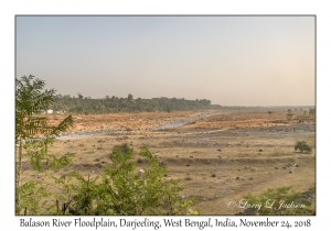 Balason River Floodplain