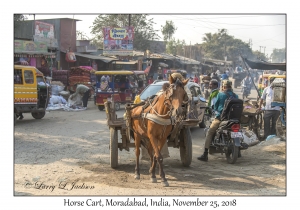 Horse Cart