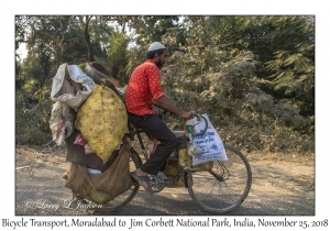 Bicycle Transport