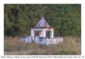 Shiva Shrine