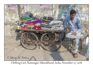 Clothing Cart