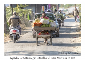 Vegetable Cart