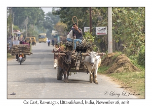 Ox Cart