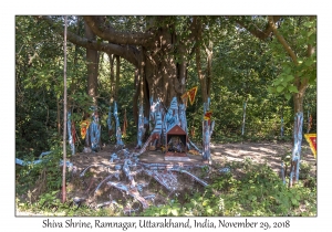 Shiva Shrine