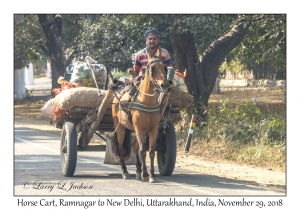 Horse Cart