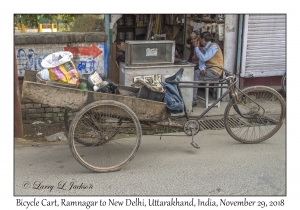 Bicycle Cart