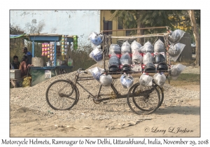 Bicycle Helmet Cart