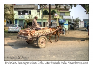 Brick Cart