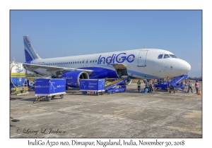 IndiGo A320 neo