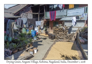 Drying Grain