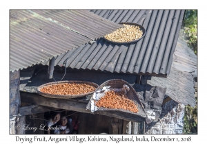 Drying Fruit