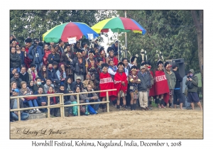 Hornbill Festival