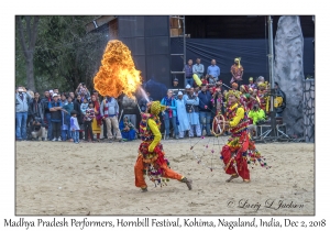 Madhya Pradesh Performers