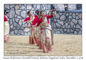 Assam Performers