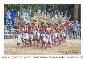 Angami Performers