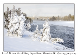 Trees & Firehole River