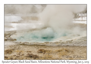 Spouter Geyser