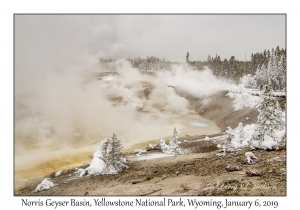 Norris Geyser Basin