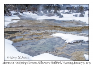 Mammoth Hot Springs Terraces