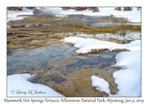 Mammoth Hot Springs Terraces