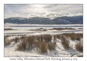 Lamar Valley