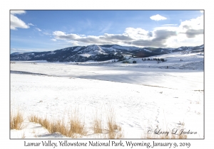 Lamar Valley