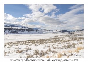 Lamar Valley