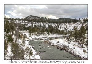 Yellowstone River