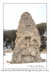 Liberty Cap