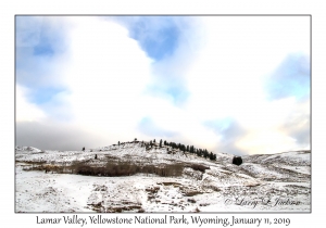 Lamar Valley