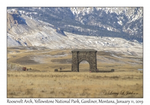 Roosevelt Arch