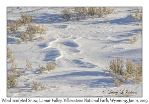 Wind-sculpted Snow