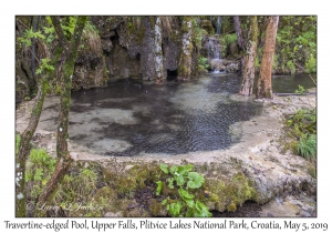 Travertine-edged Pool