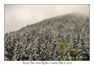 Snowy Pass