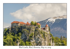 Bled Castle